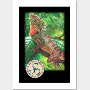 Boyds Forest Dragon Posters and Art